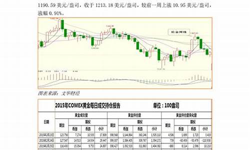 金价反弹会议报告_金价反弹会议报告内容