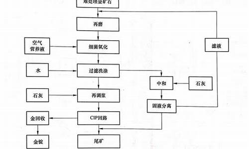 生物氧化讲解_生物氧化提金价格