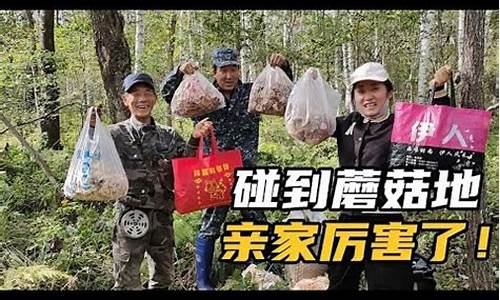 虎林金店电话_虎林金价为啥便宜